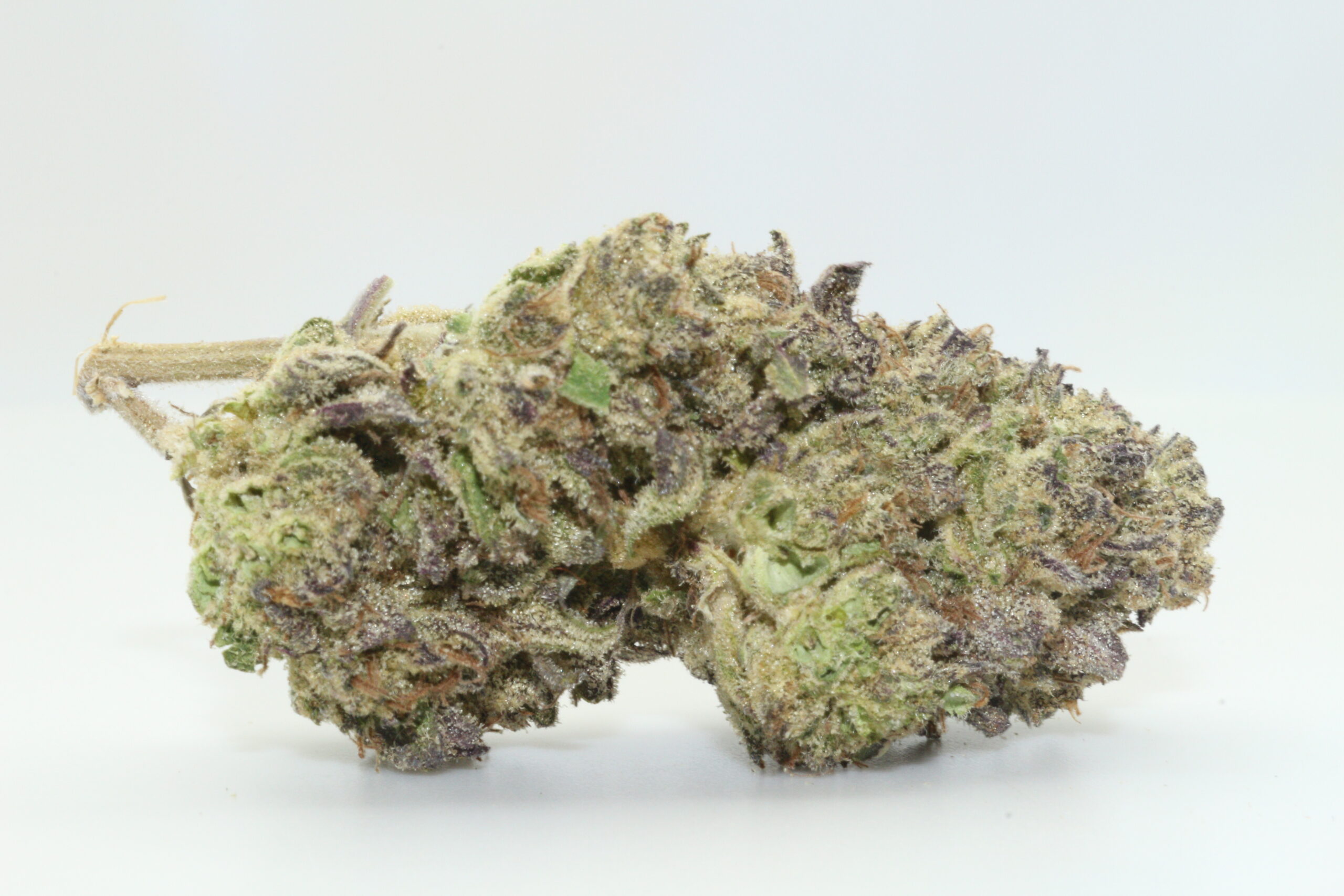 Tropical Z THCA Hemp Flower