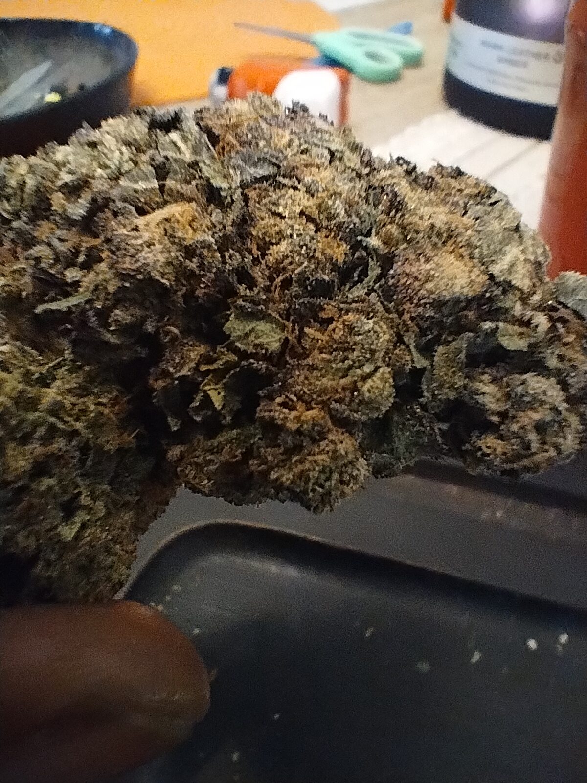 Image #1 from Bud Smoker