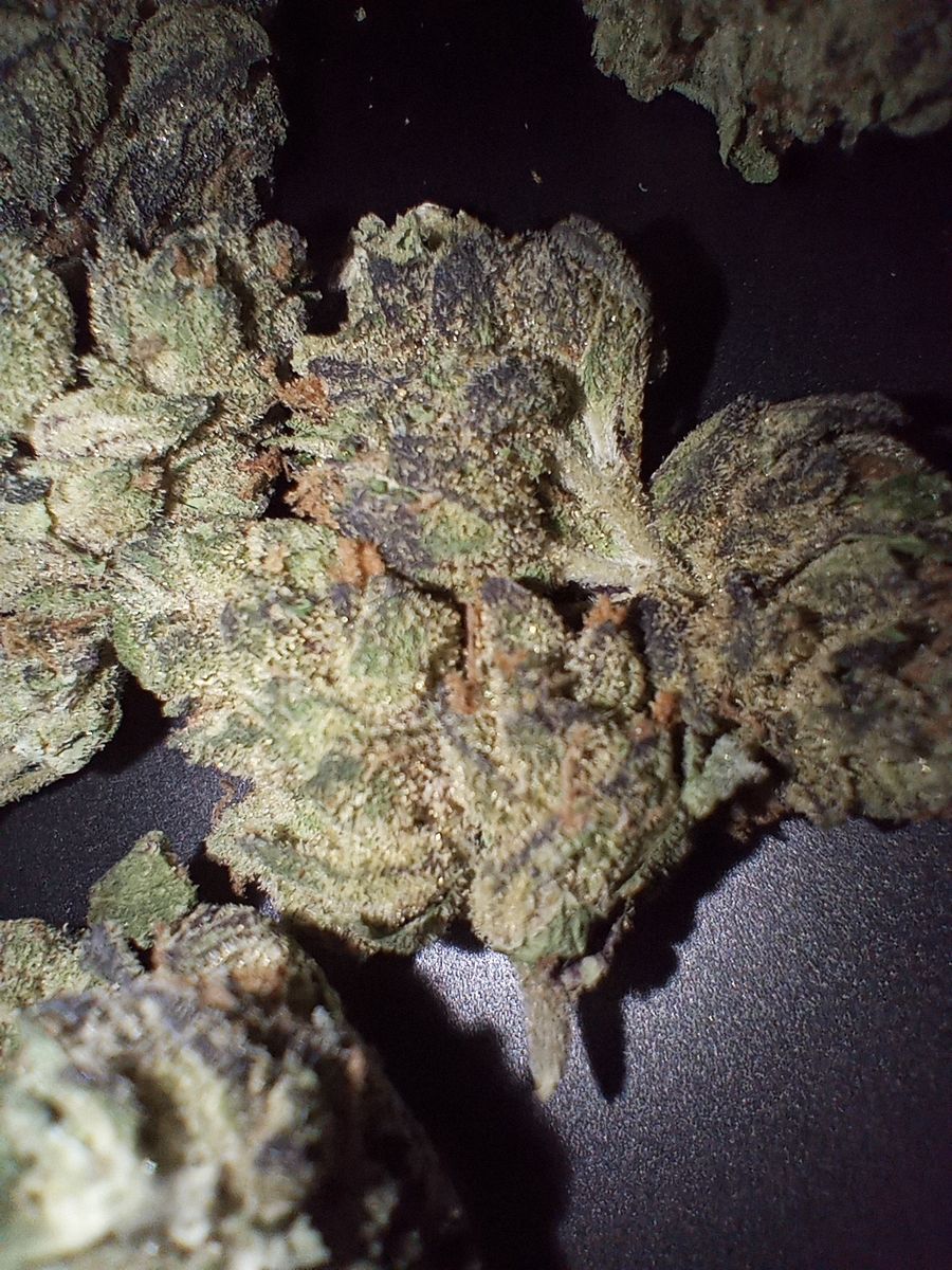 Image #1 from georgia monroe