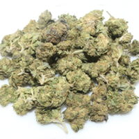Biscotti THCA Hemp Flower Smalls