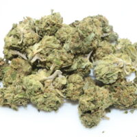 Biscotti THCA Hemp Flower Smalls