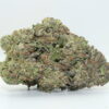Bubble Gum THCA Hemp Flower