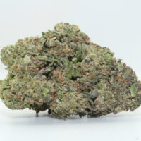 Bubble Gum THCA Hemp Flower