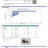 Bubble Gum Terpenes Certificate of Analysis