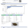 Dog Walker OG Terpenes Certificate of Analysis