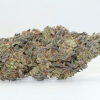 Dog Walker THCA Hemp Flower