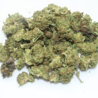 Gelato THCA Hemp Flower Smalls