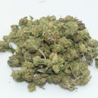 Gelato THCA Hemp Flower Smalls