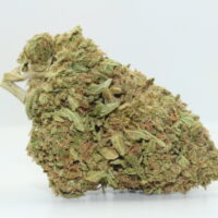 Guava Cooler THCA Hemp Flower