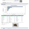 Guava Cooler Terpenes Certificate of Analysis