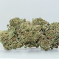 Guava Tart THCA Hemp Flower