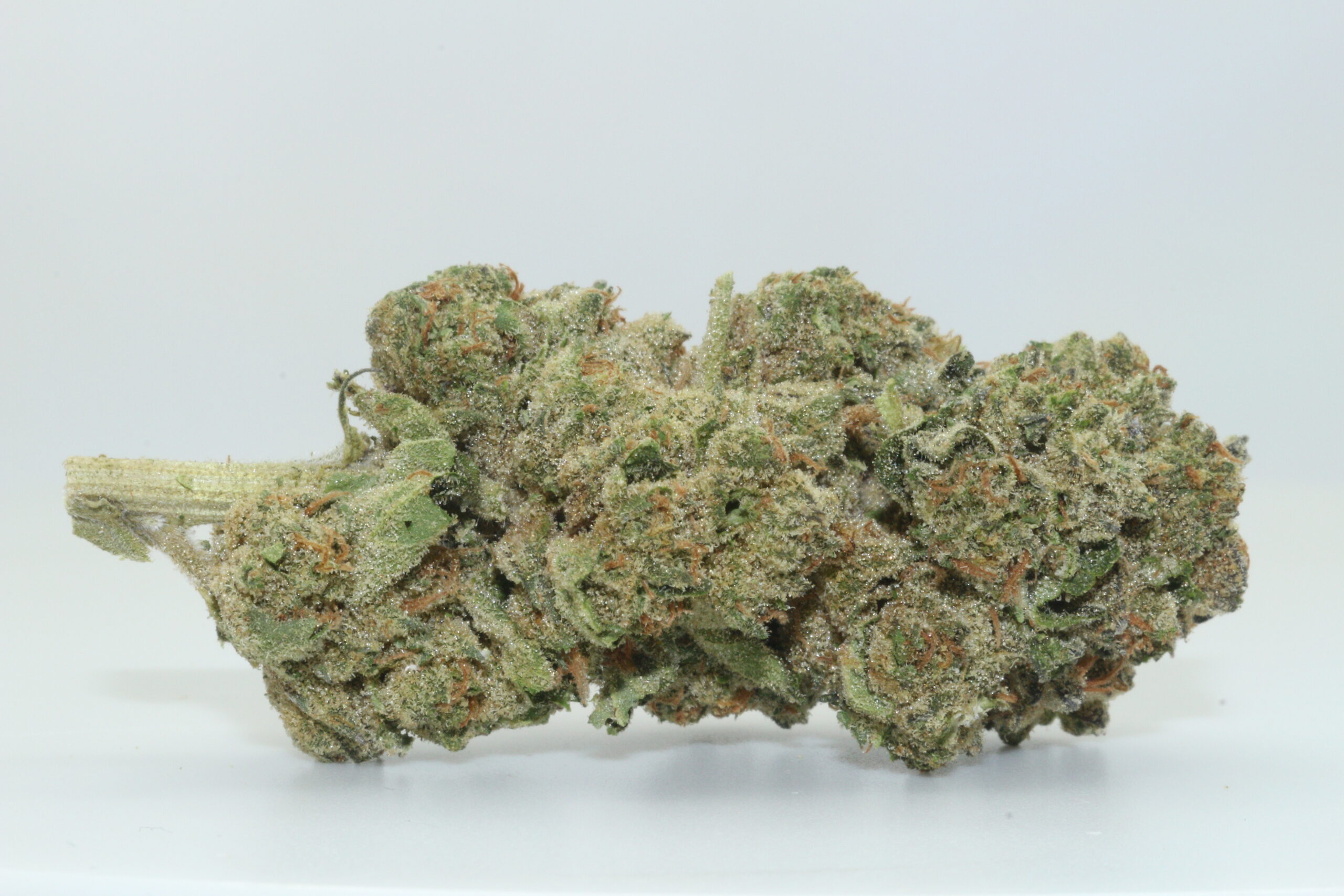 Guava Tart THCA Hemp Flower Guava Tart THCA Hemp Flower