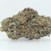 Guava Tart THCA Hemp Flower