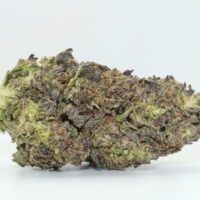Guava Tart THCA Hemp Flower