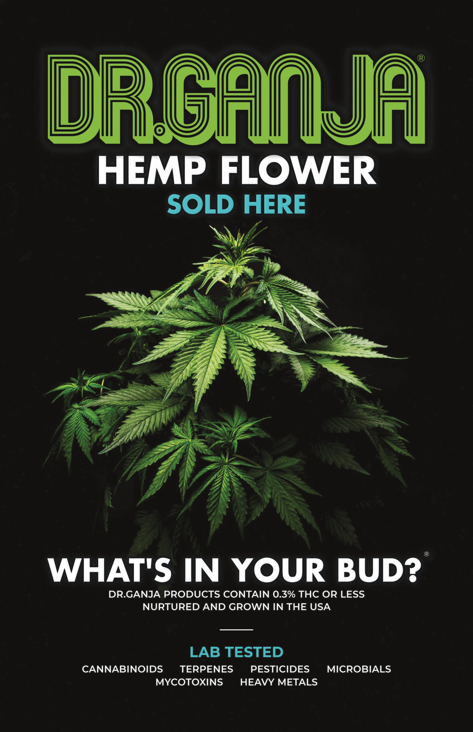 Poster DrGanja11x17last