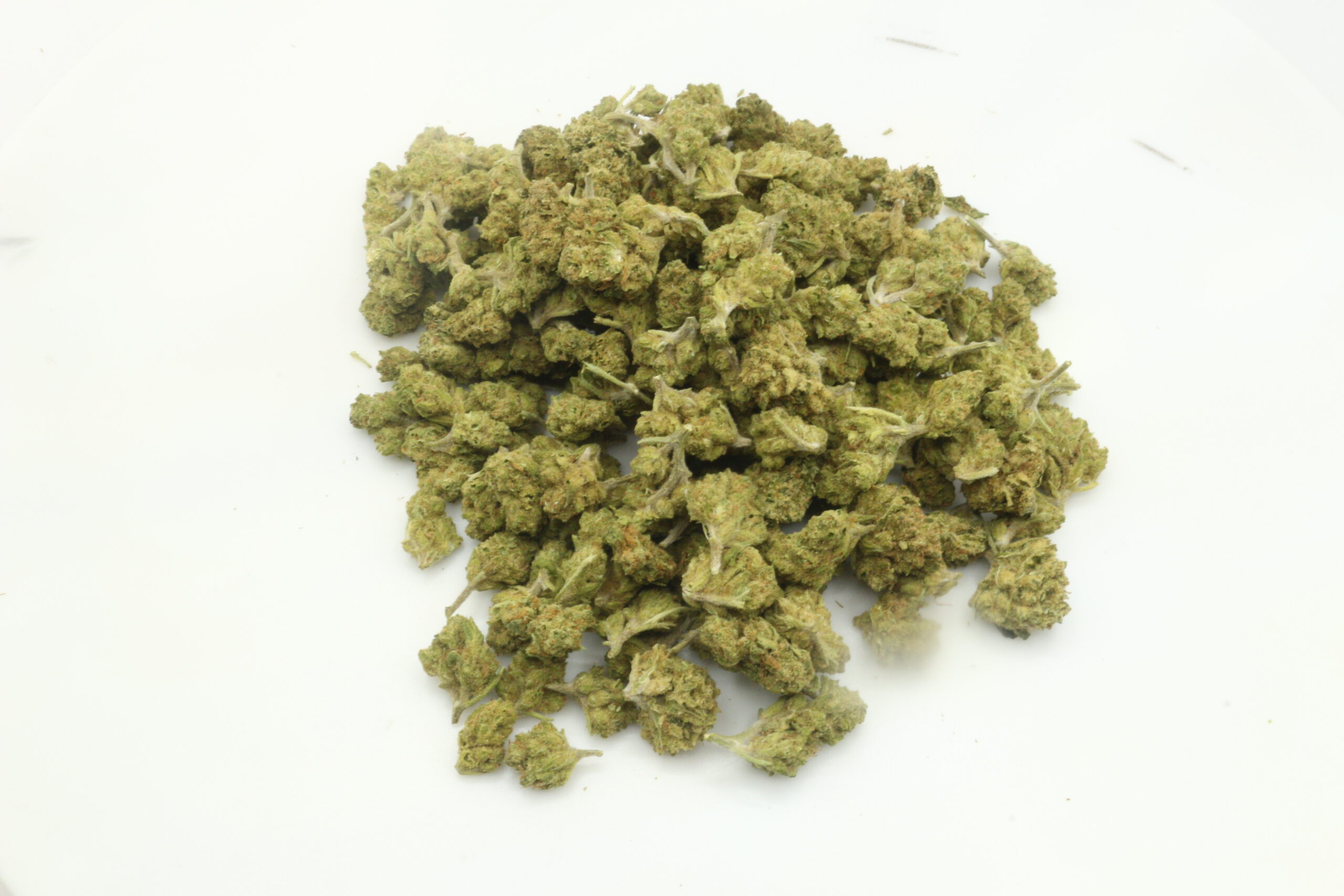 Sherbanger THCA Hemp Flower Smalls