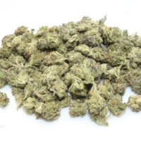 Sherbanger THCA Hemp Flower Smalls