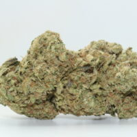Snow Dream THCA Hemp Flower