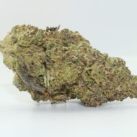 The Ooze THCA Hemp Flower