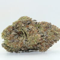 The Ooze THCA Hemp Flower