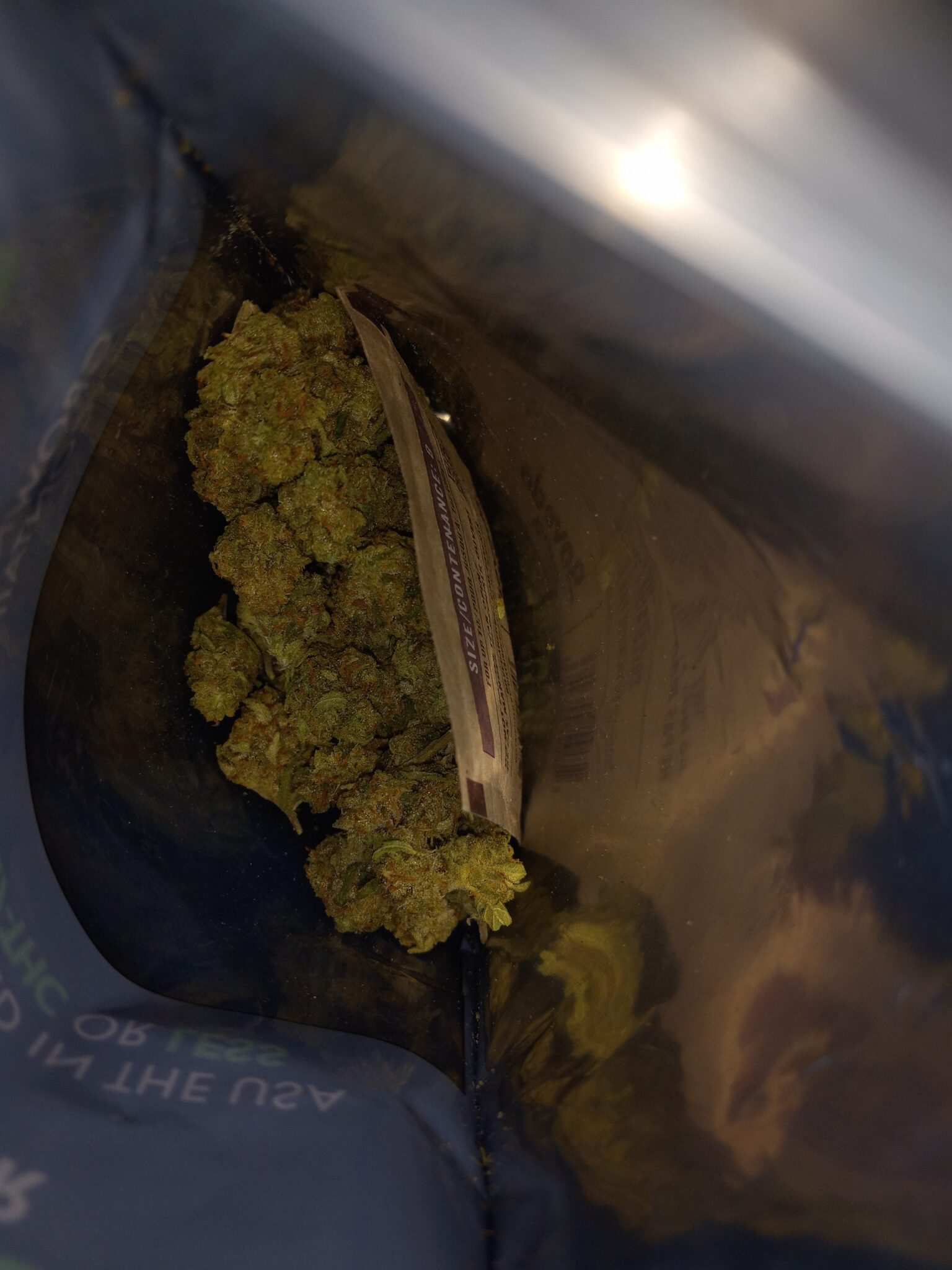 Image #1 from Daniel C