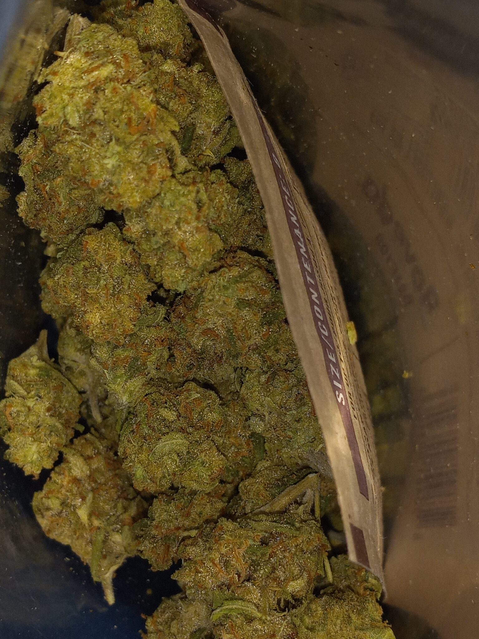 Image #2 from Daniel C