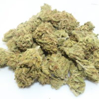 Honey Bee THCA Hemp Flower Smalls