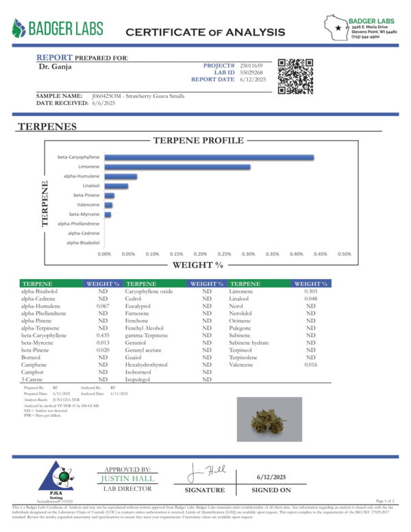 Strawberry Guava Smalls Terpenes Certificate of Analysis