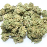 Tribute THCA Hemp Flower Smalls