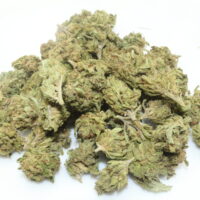 Zashimi THCA Hemp Flower Smalls
