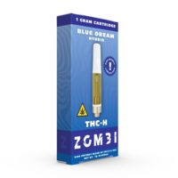 Zombi THCH Cartridge 1g
