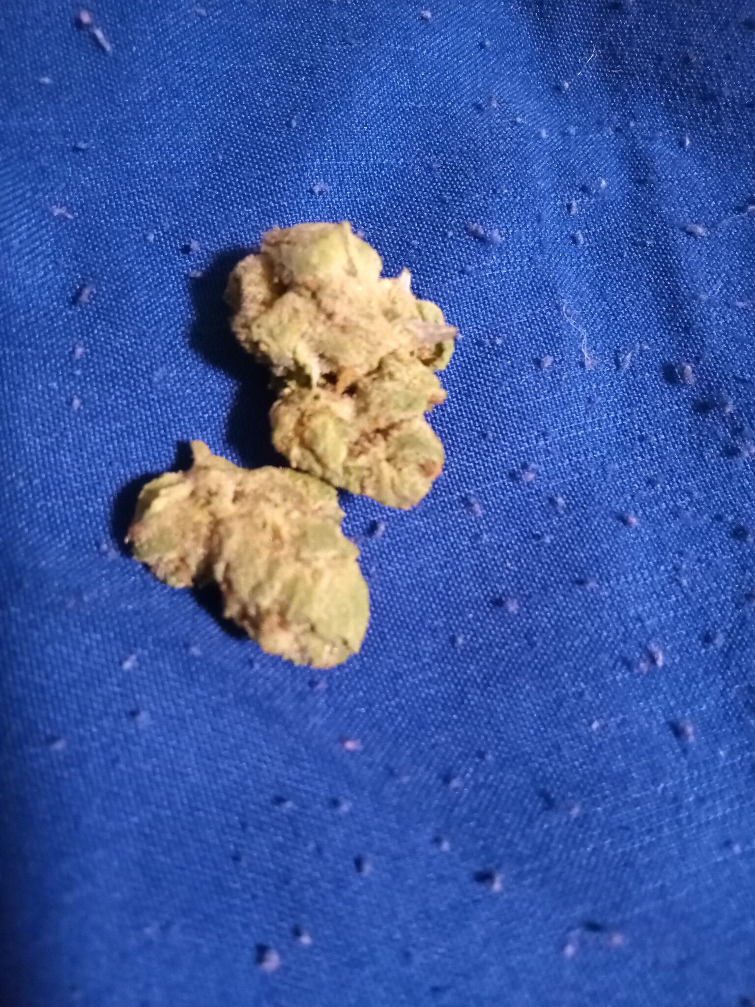 Image #2 from Deshanda Hopper