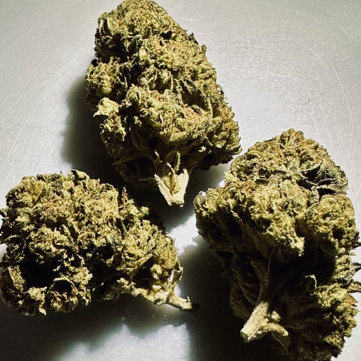 Image #1 from Dr.Ganja Customer