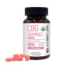 Extract Labs Broad Spectrum CBG CBD Gummies Pink Lemonade 1000mg 30ct
