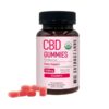 Extract Labs Full Spectrum CBD Gummies Strawberry 1500mg 30ct