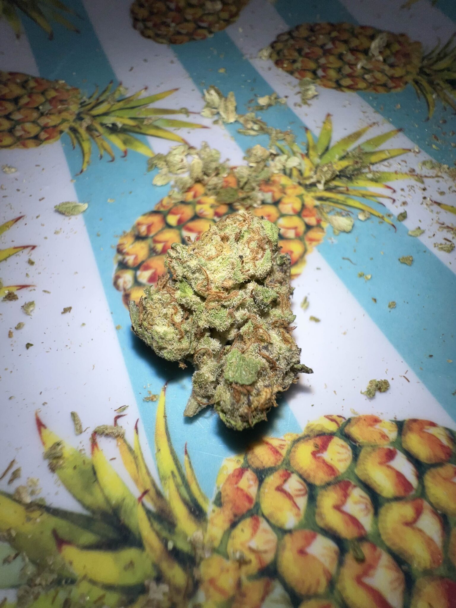 Image #1 from Dr. Ganja Customer