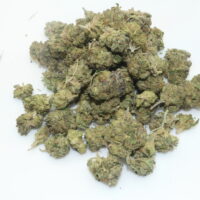 London Pound Cake THCA Hemp Flower Smalls
