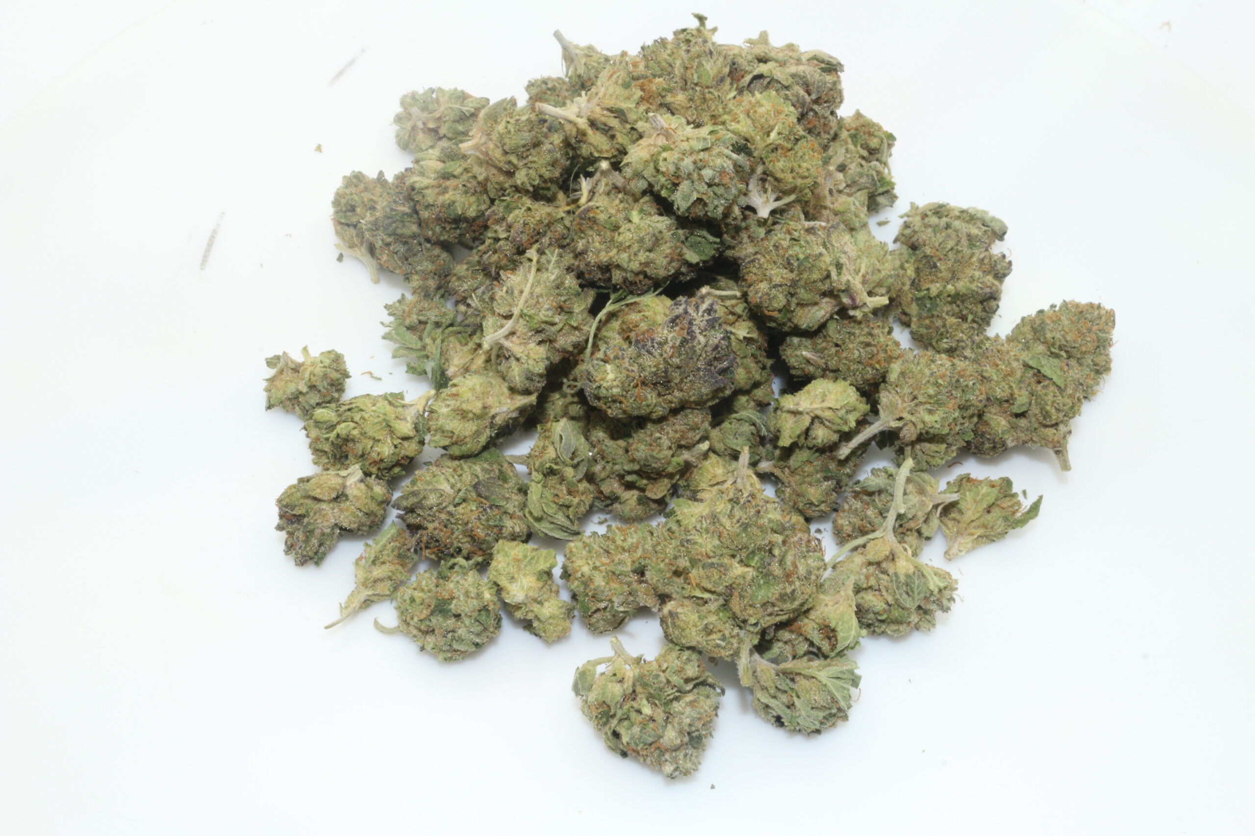 London Pound Cake THCA Hemp Flower Smalls London Pound Cake THCA Hemp Flower Smalls