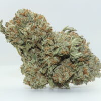 Platinum OG THCA Hemp Flower