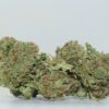 Blackberry Kush THCA Hemp Flower