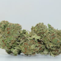 Blackberry Kush THCA Hemp Flower
