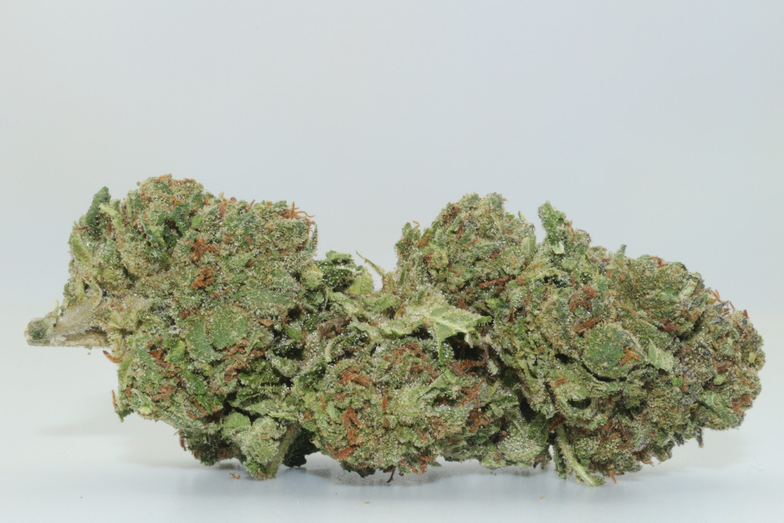 Blackberry Kush THCA Hemp Flower