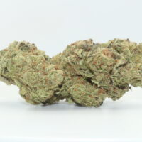 Golden Goat THCA Hemp Flower