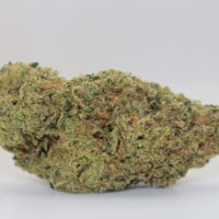 Key Lime Pie THCA Hemp Flower