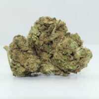 Creme Brulee THCA Hemp Flower