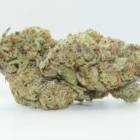 Gorilla Glue THCA Hemp Flower