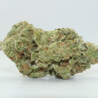 Grape Nana THCA Hemp Flower