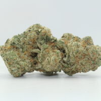 Hawaiian Snowcone THCA Hemp Flower