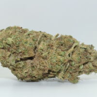 Maui OG THCA Hemp Flower