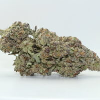 Ghost Train Haze THCA Hemp Flower